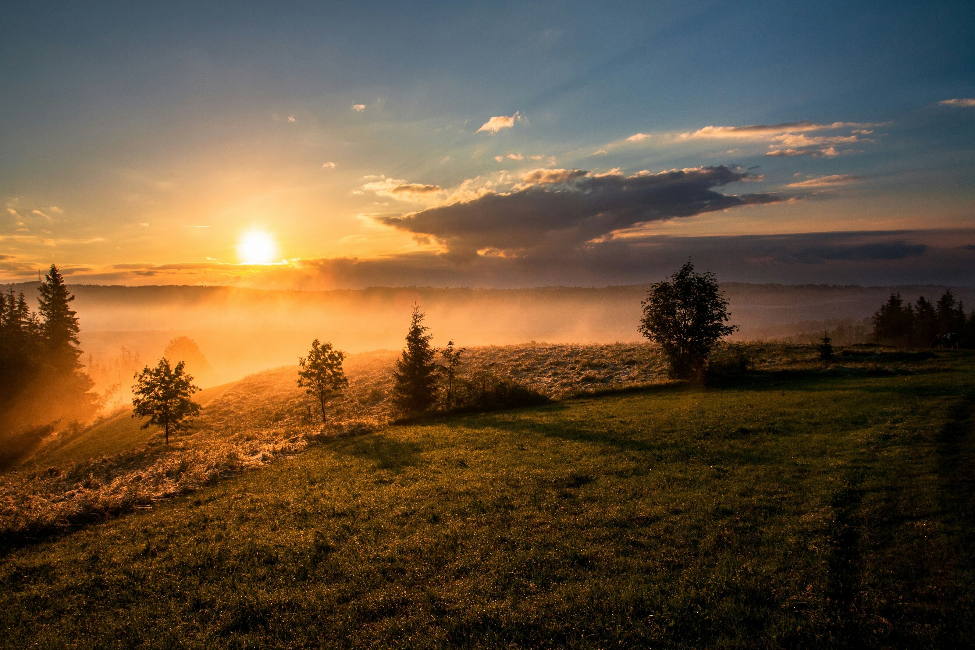 Morning Routine Becomes Key Factor in Modern Lifestyle Shifts, Experts Suggest
